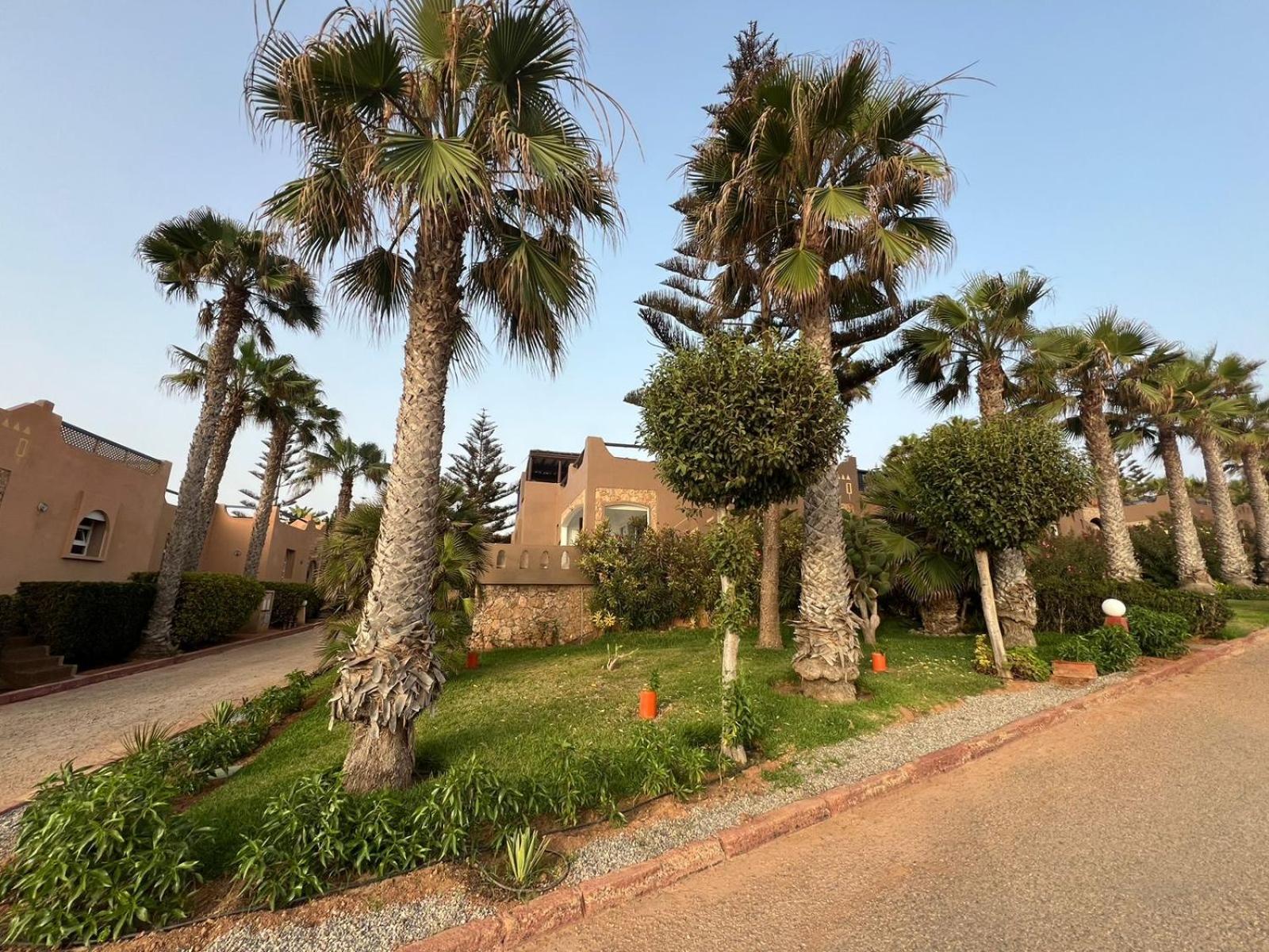 Dreamcatcher Homes Mirleft Dış mekan fotoğraf